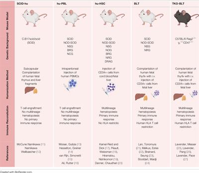 Humanized Mice for the Evaluation of Novel HIV-1 Therapies